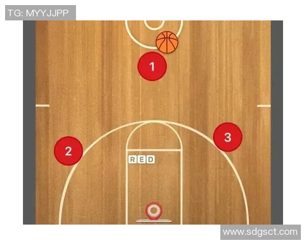 北京排球队反击战术解析与实战应用探讨