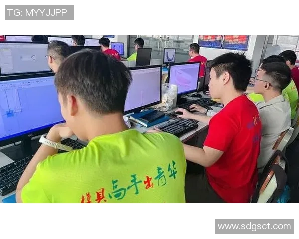 南京飞盘队的运营体系与战术创新探索之路 南京飞盘队的运营体系与战术创新探索之路