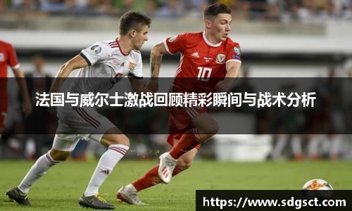 法国与威尔士激战回顾精彩瞬间与战术分析