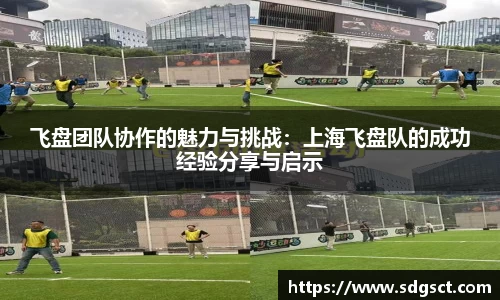 飞盘团队协作的魅力与挑战：上海飞盘队的成功经验分享与启示